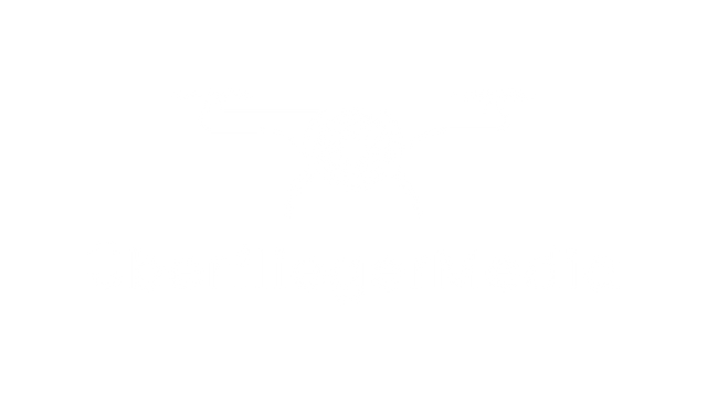 Dronen Logo